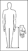 Wrist-to-floor